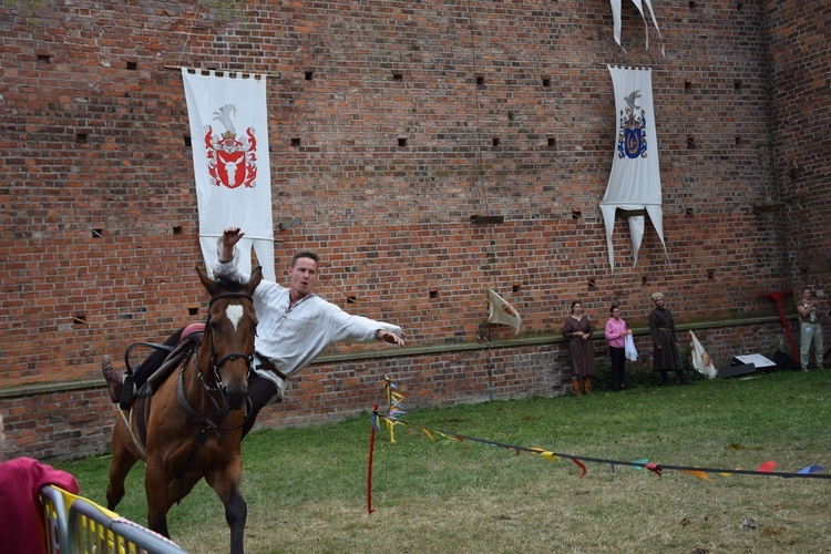 Międzynarowowy Turniej Rycerski