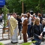 Sulęcin. Odpust i piknik radości