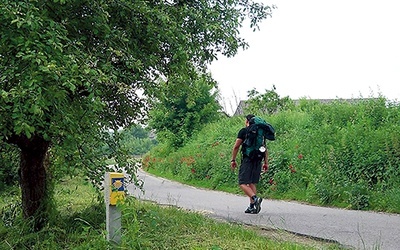 Na camino pielgrzymi wędrują w małym gronie, a często samotnie.