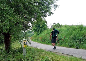 Na camino pielgrzymi wędrują w małym gronie, a często samotnie.