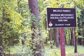 ▲	W lesie białuckim stoją nagrobki i tablice informujące o ofiarach KL Soldau.