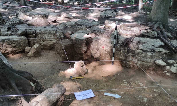 Dąbrowa Górnicza. Archeologiczna sensacja na Bukowej Górze