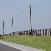 Majdanek jest miejscem pamięci o pomordowanych.