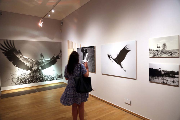 Fotografie Włodzimierza Puchalskiego