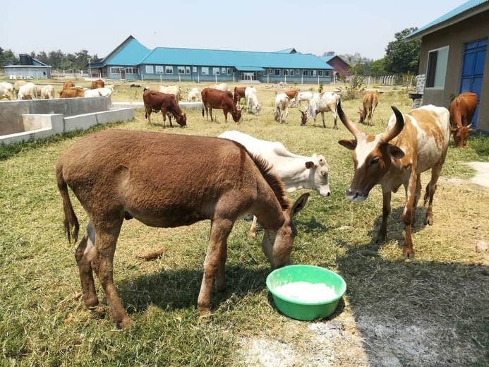 Izabela Tobiasiewicz z Brzeszcz rusza na misje do Tanzanii