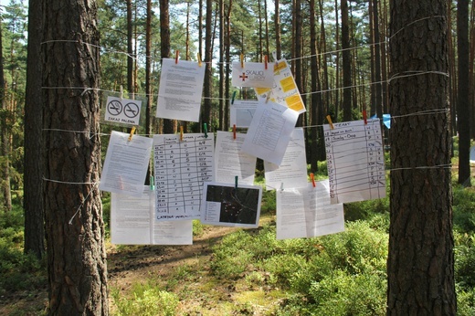 Obozy Skautów Europy - harcerki i wilczki z Rybnika i okolic