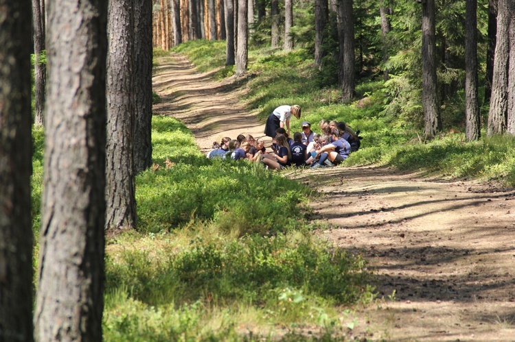 Obozy Skautów Europy - harcerki i wilczki z Rybnika i okolic