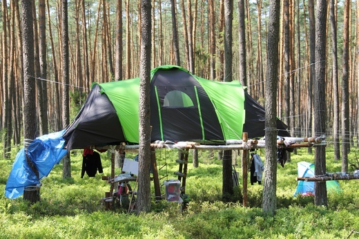 Obozy Skautów Europy - harcerki i wilczki z Rybnika i okolic