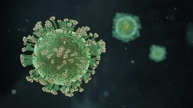 Naukowiec, który wyizolował koronawirusa: Po sześciu miesiącach od szczepienia mało kto ma szanse na to, aby nie mieć objawów w wyniku zakażenia Omikronem