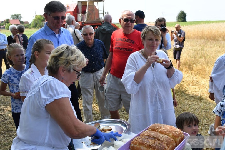 Od ziarenka do bochenka w Białkowie