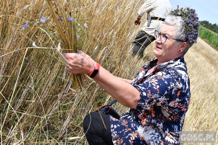 Od ziarenka do bochenka w Białkowie