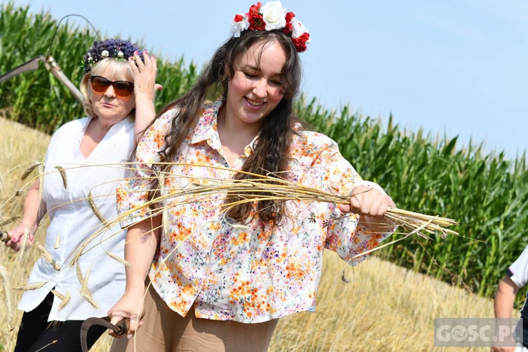Od ziarenka do bochenka w Białkowie