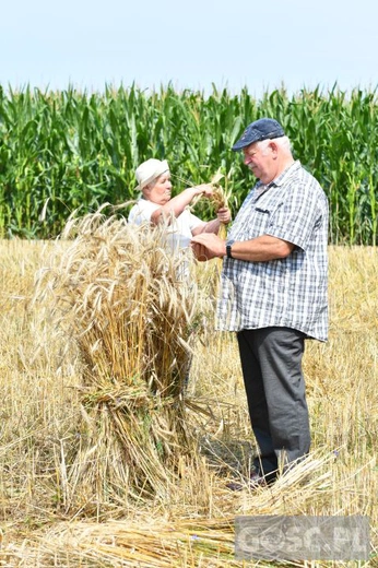 Od ziarenka do bochenka w Białkowie