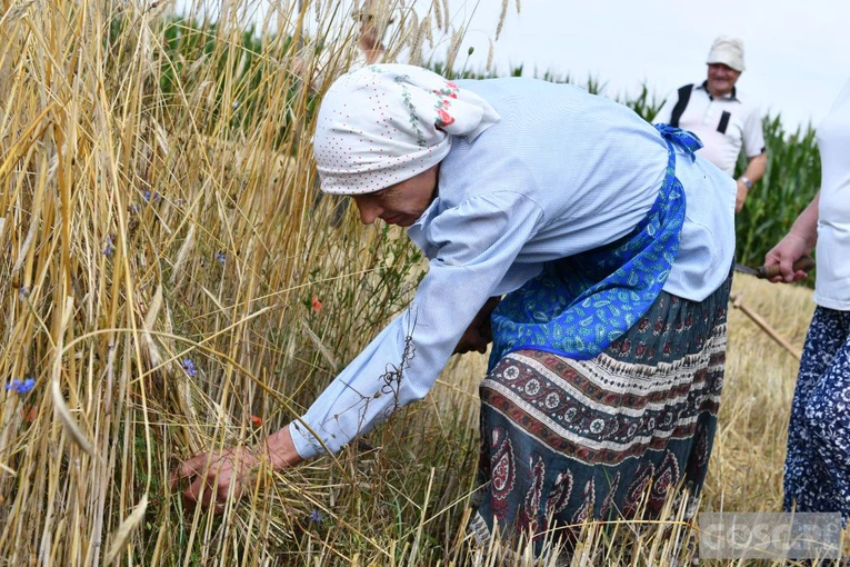 Od ziarenka do bochenka w Białkowie