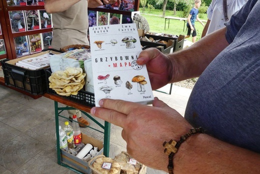 Międzybrodzie Bialskie: festyn parafialny u św. Marii Magdaleny - 2022