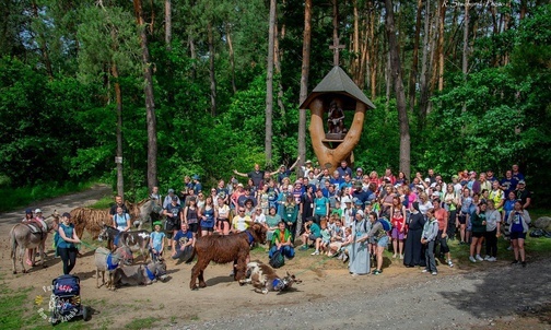 Osiołkowym szlakiem Camino do Bógzapłać