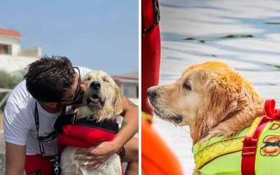 Dwa psy ratownicy uratowały pięcioro tonących