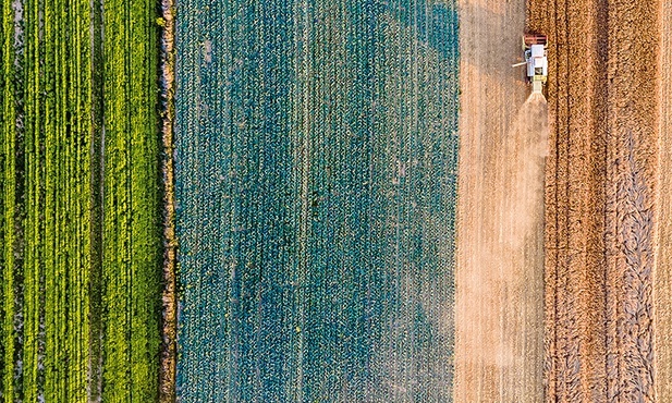 Na południu Polski rozpoczęły się żniwa.
20.07.2022 MałopolskaB