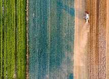 Na południu Polski rozpoczęły się żniwa.
20.07.2022 MałopolskaB