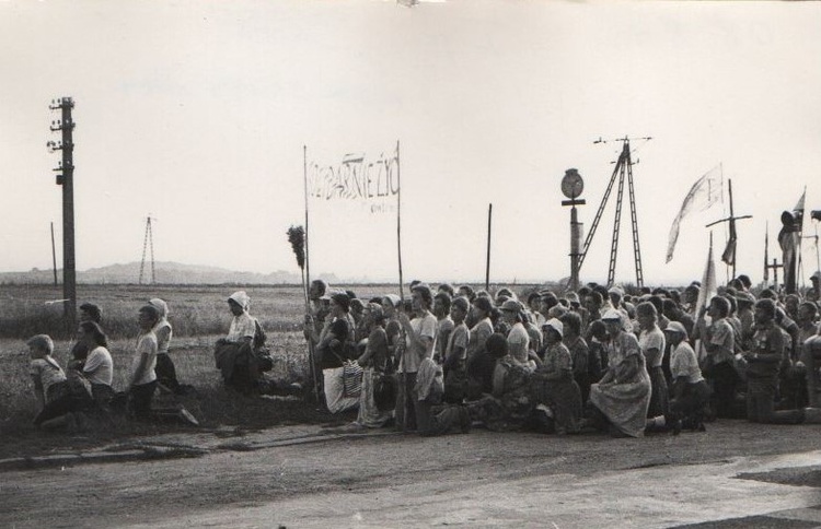 40 lat Pielgrzymki z Gorzowa Wlkp. na Jasną Górę w obiektywie