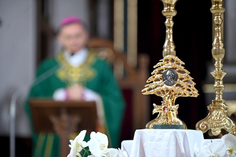 Strzegom. W bazylice powitali relikwie św. Szarbela