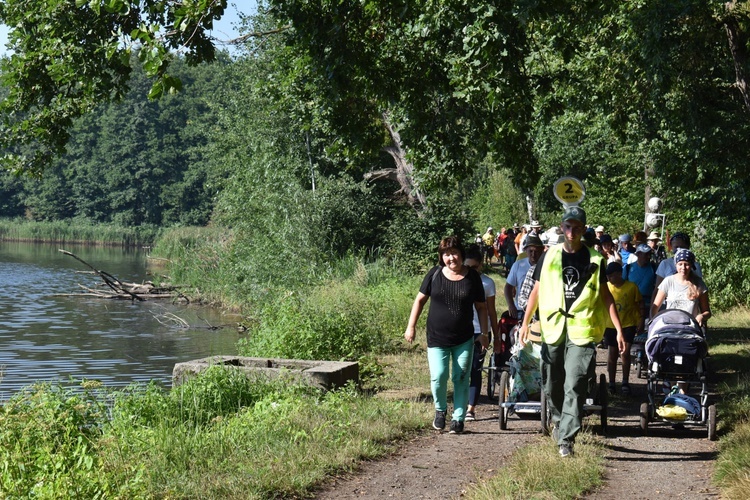 XIX PPDŚ - Dzień IV - Z Graczy do Popielowa