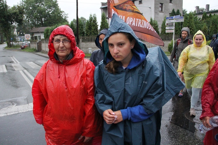 PPW 2022 - dzień 5. (Wierzbica Górna-las za Wołczynem)