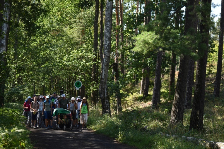 XIX PPDŚ - Dzień V - Z Murowa do Laskowic