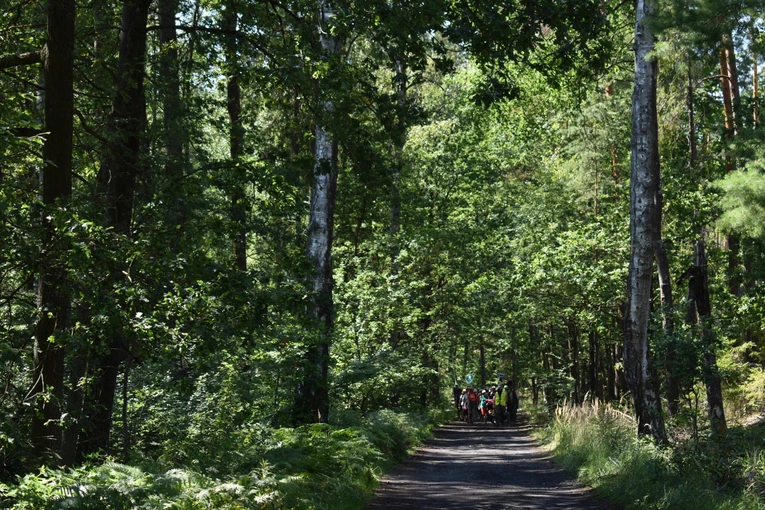 XIX PPDŚ - Dzień V - Z Murowa do Laskowic