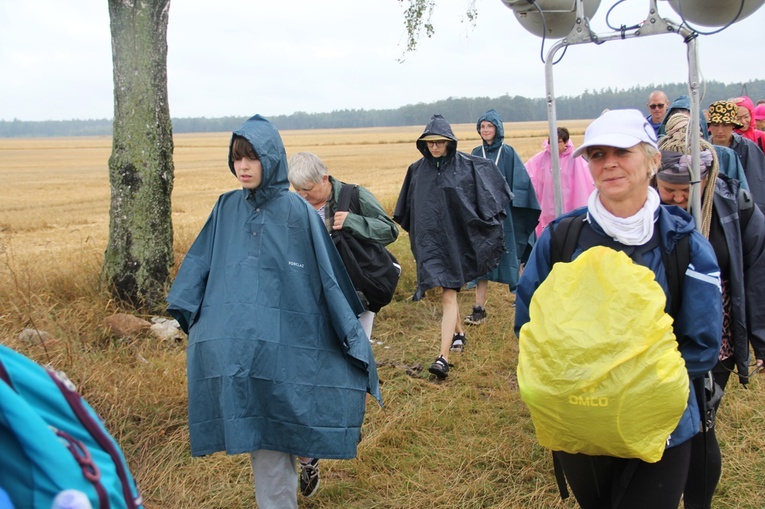 PPW 2022 - dzień 5. (las za Wołczynem-Kluczbork)