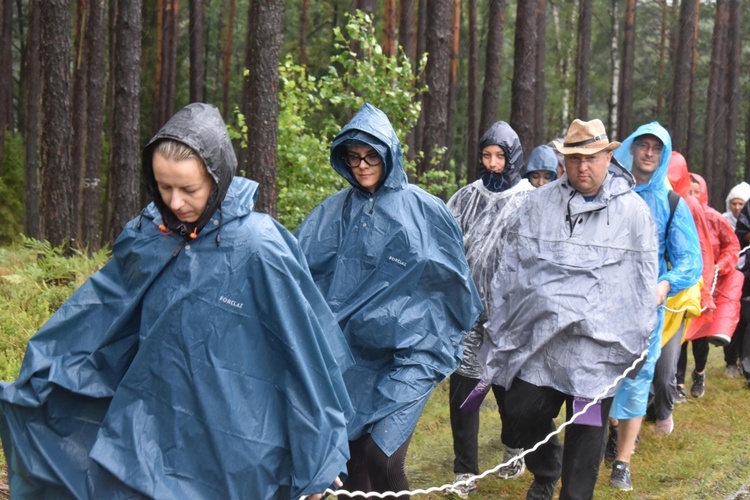 XIX PPDŚ - Dzień VI - Z Laskowic do Leśnej