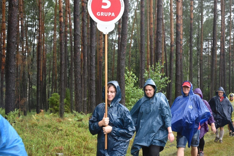 XIX PPDŚ - Dzień VI - Z Laskowic do Leśnej