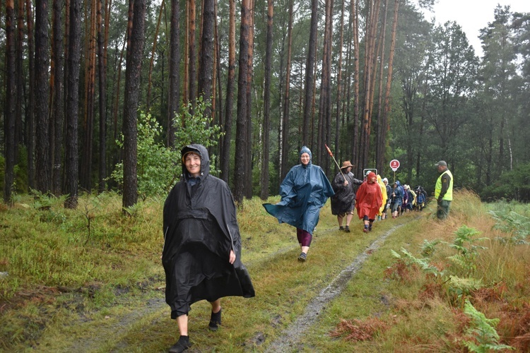 XIX PPDŚ - Dzień VI - Z Laskowic do Leśnej