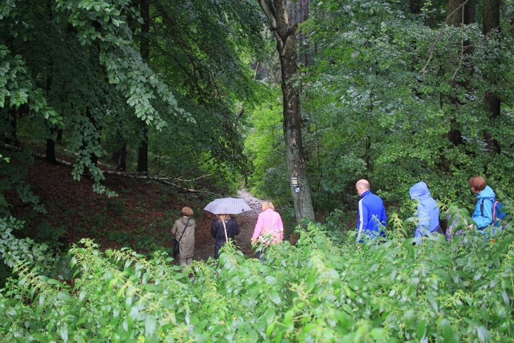 Wycieczka śladami dawnych pustelni i pustelników z Góry Świętej Anny