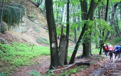 Wycieczka śladami dawnych pustelni i pustelników z Góry Świętej Anny