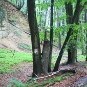 Wycieczka śladami dawnych pustelni i pustelników z Góry Świętej Anny