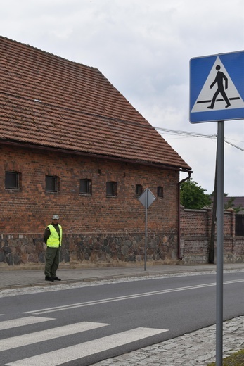 XIX PPDŚ - Dzień VI - Z Leśnej do Łomnicy