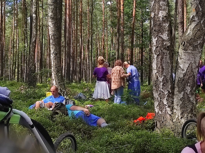 Górka Przeprośna w lesie