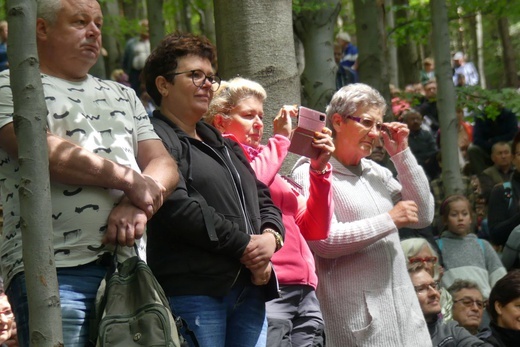W "bukowej bazylice" na Trzonce - odpust ku czci Matki Bożej Śnieżnej 2022