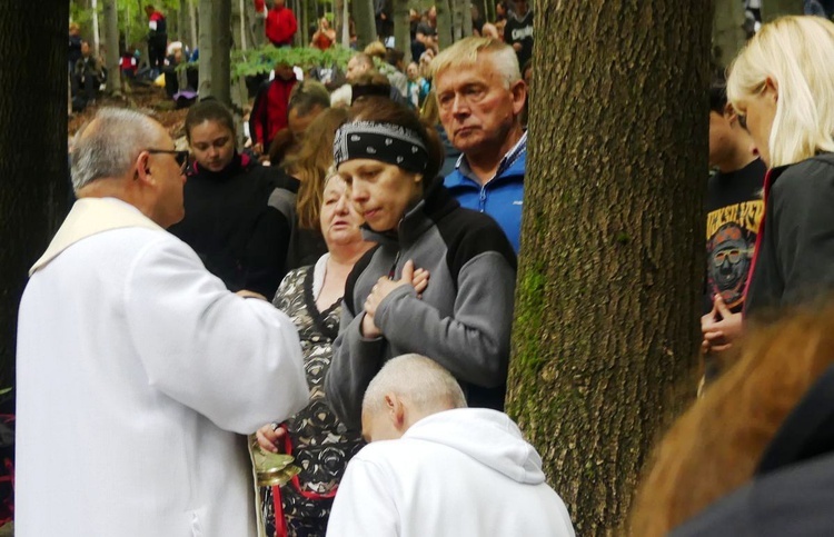 W "bukowej bazylice" na Trzonce - odpust ku czci Matki Bożej Śnieżnej 2022