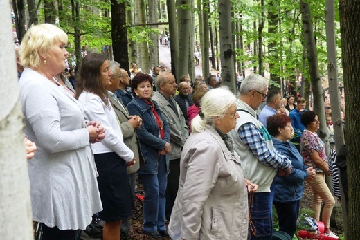 W "bukowej bazylice" na Trzonce - odpust ku czci Matki Bożej Śnieżnej 2022