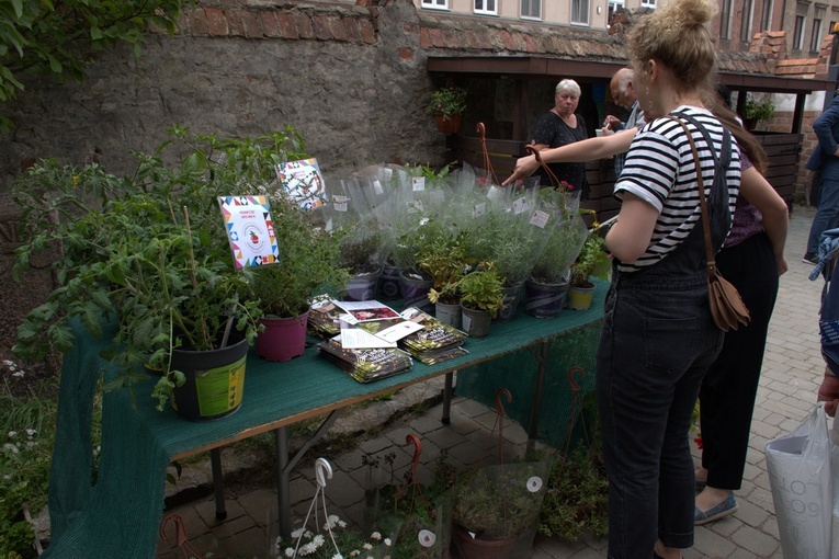 Odpust gdańskich dominikanów 2022