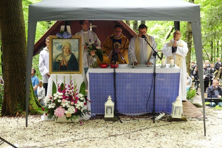 Rzesze pielgrzymów u Matki Bożej Śnieżnej w "bukowej bazylice" na Trzonce