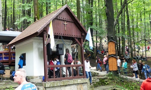 Rzesze pielgrzymów u Matki Bożej Śnieżnej w "bukowej bazylice" na Trzonce