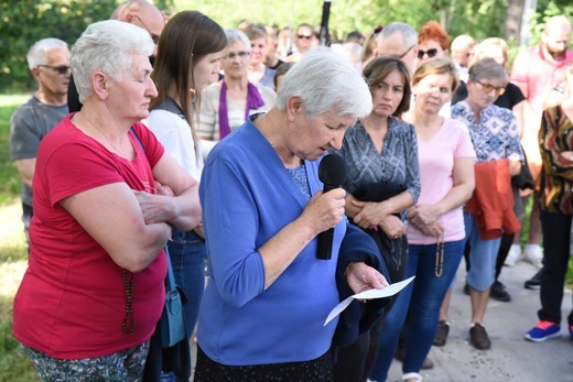 Trzeźwościowa Żakówka