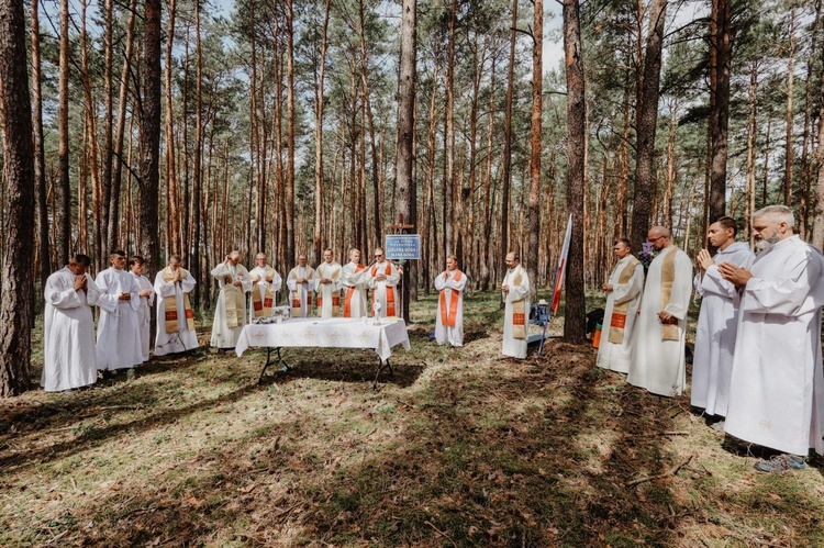 To już 8 dzień pielgrzymki