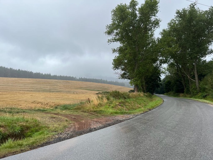 Świdnica. Na rowerze do Krzeszowa 