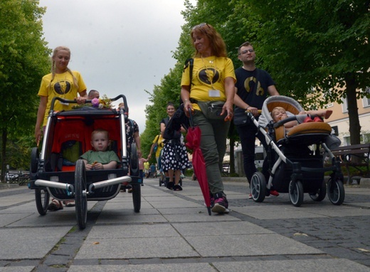 Pielgrzymka z diecezji radomskiej weszła na Jasną Górę