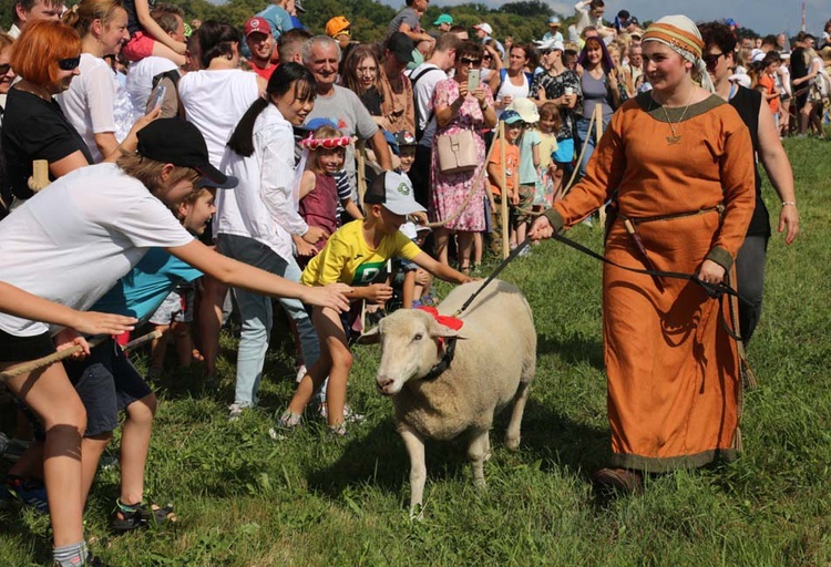 50. urodziny smoka wawelskiego