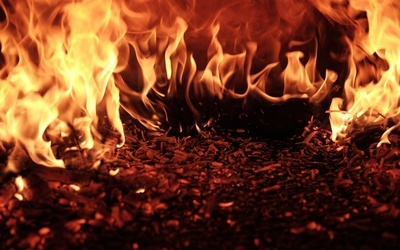 Hiszpania: Od soboty spłonęło blisko 20 tys. ha lasów i łąk